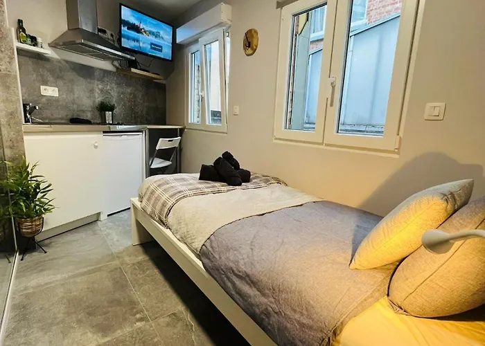 Lägenhet Mini Studio Une Personne *